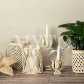 Bugambilia Container Medium